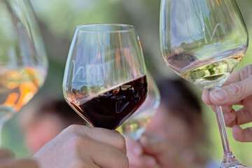 Winery
