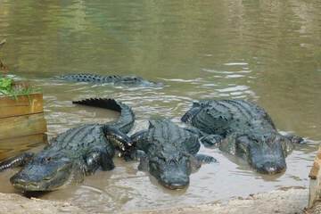 Ecotours