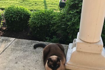 Porch