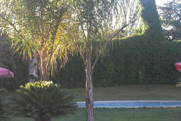 Children's pool