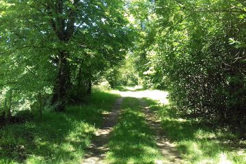 Hiking