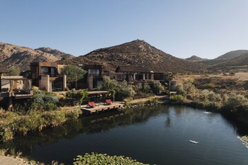 Vineyard view