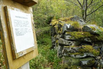Hiking