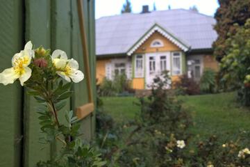 Photo 59