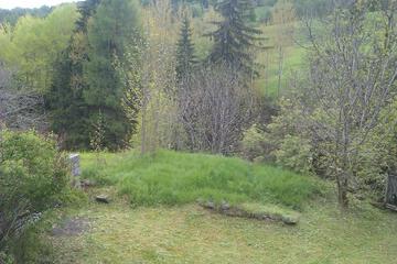 Photo 44