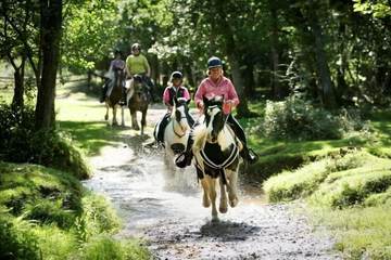 Horseback riding