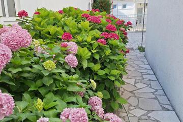 Photo 84