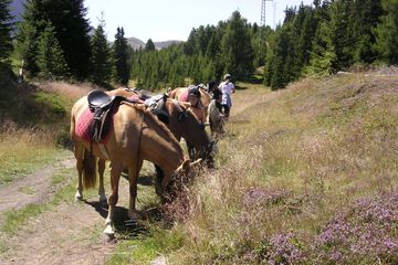 Horseback riding