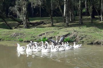 Ecotours