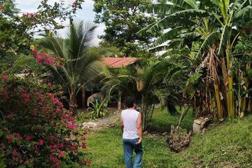 Photo 30