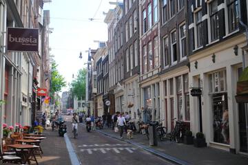 Photo 41