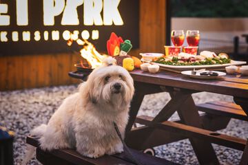 BBQ/picnic area