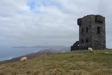 Photo 44