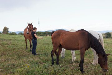Horseback riding