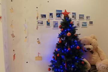 Photo 16