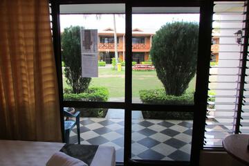 Garden view