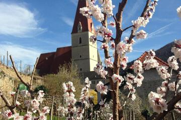 Photo 52