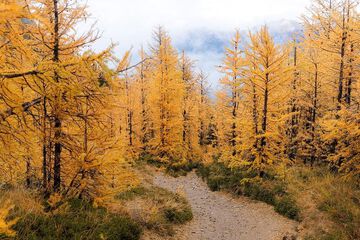 Hiking