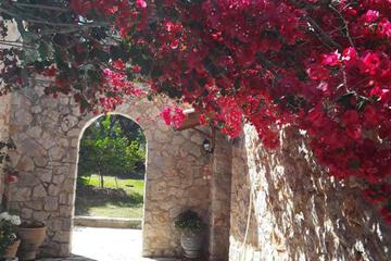 Photo 43