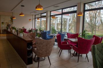Cafe