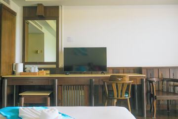 Television