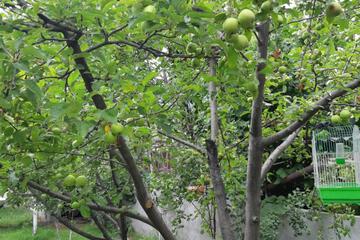 Photo 45
