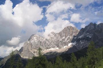 Photo 46