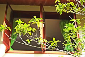 Photo 31