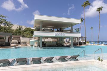 Swim-up bar