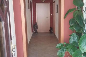 Photo 56