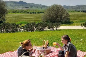 BBQ/picnic area
