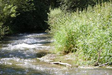 Photo 26