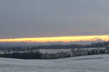 Property Grounds 32 of 36