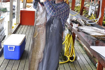 Fishing