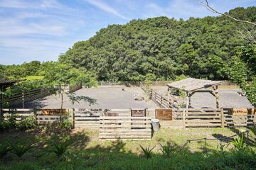 Pet-friendly amenities