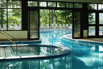 Indoor/outdoor pool