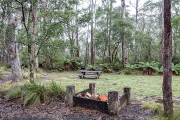BBQ/picnic area