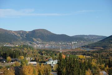 Photo 23