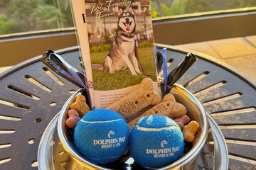 Pet-friendly amenities
