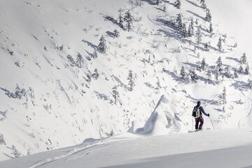 Snowshoeing