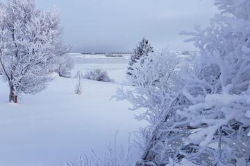 Photo 40
