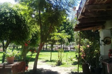 Birthday party area
