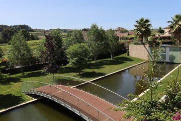 Lake view