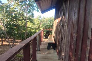 Photo 31