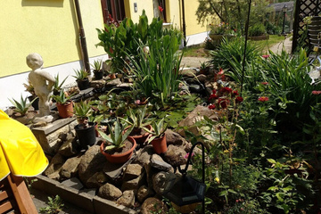 outside