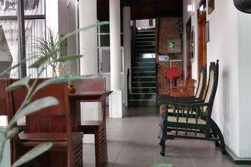 Photo 44