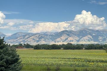 Photo 26