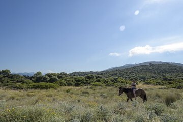 Horseback riding
