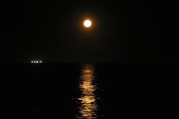 Photo 49