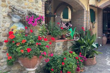 Photo 51